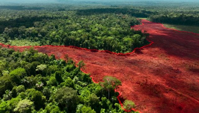 Aerial deforestation revealing red-brown cleared soil and stumps along tropical forest edge