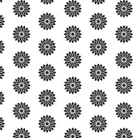 Black Floral Pattern on Transparent Background for Creative Design - Download Free Stock Videos Pikwizard.com