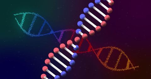 Colorful DNA Strands in Abstract Black Background - Download Free Stock Images Pikwizard.com