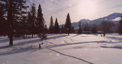 Winter Wonderland December Run in Snowy Countryside