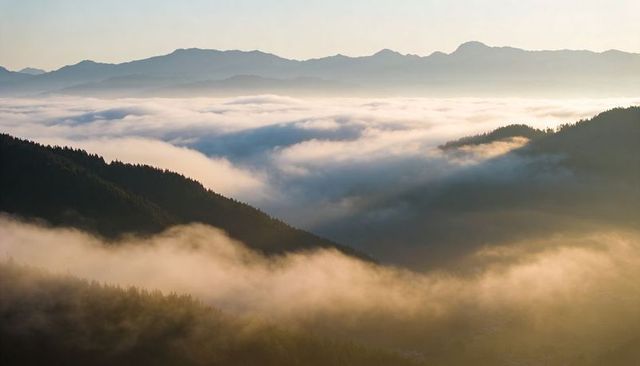 Golden mist drifting through alpine valley with forested ridges at sunrise panoramic view
