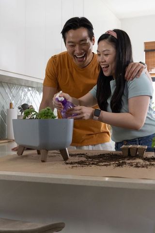 Asian couple gardening at kitchen island watering seedlings with purple sprayer, smiling