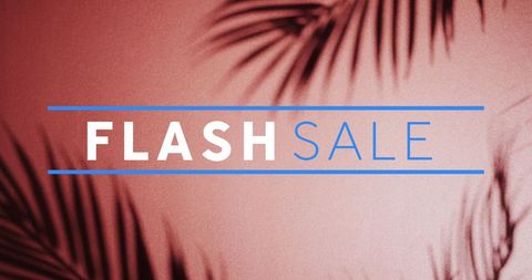 Flash Sale Design with Palm Shadows and Vibrant Colors - Download Free Stock Images Pikwizard.com
