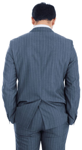 Back View of Businessman in Pinstripe Suit on Transparent Background - Download Free Stock Videos Pikwizard.com
