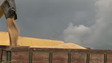 Grain Unloading from Combine into Trailer Against Cloudy Sky