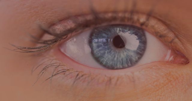 Close Up of Blue Eye with Detailed Iris - Download Free Stock Photos Pikwizard.com