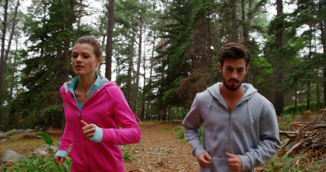 Young Couple Jogging through Forest Trail in Autumn - Download Free Stock Images Pikwizard.com