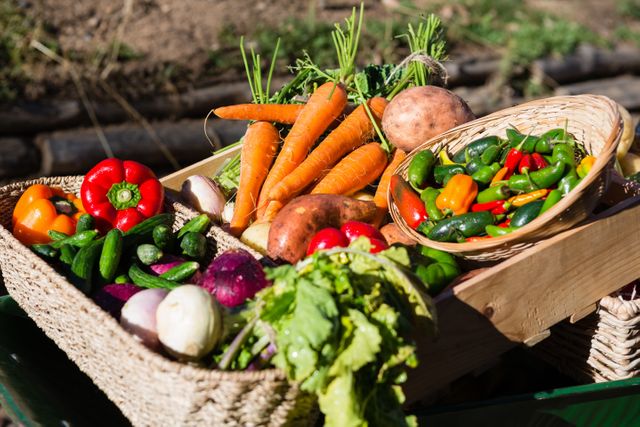 Close-up of Fresh Vegetables in Wheelbarrow - Download Free Stock Photos Pikwizard.com