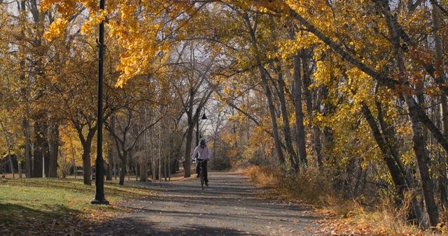 A person enjoys a peaceful bike ride along a tree-lined path in autumn, with golden leaves adding a warm hue to the scene. Cycling amidst the fall foliage offers a serene and picturesque outdoor activity.