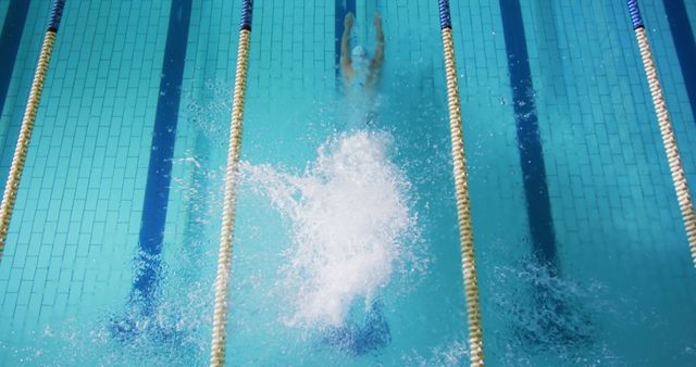 Professional Swimmer Competing in a Clear Blue Pool - Download Free Stock Images Pikwizard.com