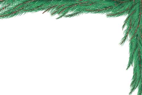 festive green branch corner on transparent background - Download Free Stock Videos Pikwizard.com