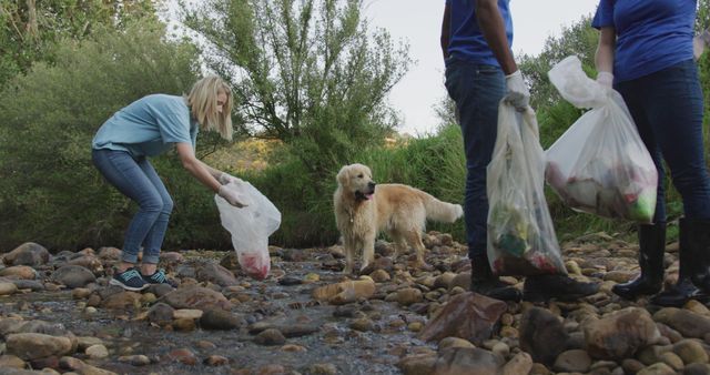 Volunteers cleaning a riverbed while a golden retriever stands nearby. Several people holding trash bags, picking up litter and plastic waste. Suitable for environmental awareness campaigns, community service promotions, and sustainability projects.