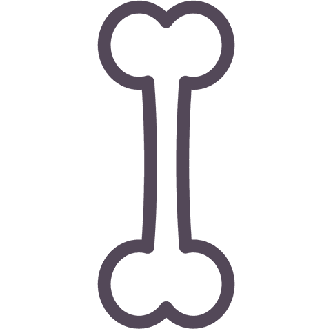 Transparent Outline of Cartoon Bone on Clear Background - Download Free Stock Videos Pikwizard.com