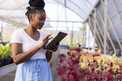 African american woman checking tablet among succulents in greenhouse nursery