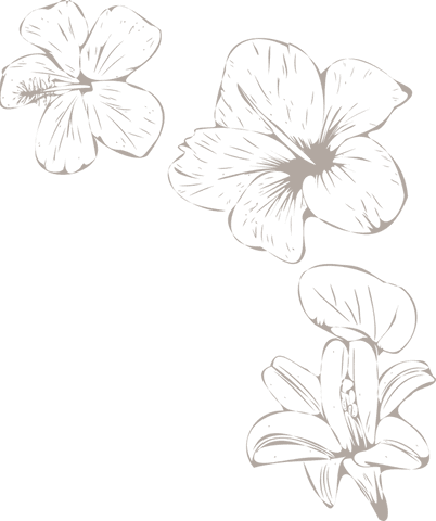 elegant tropical floral line art on transparent background - Download Free Stock Videos Pikwizard.com