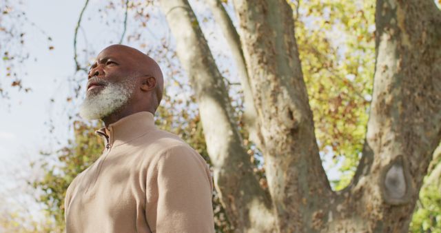 Image of thoughtful senior african american man contemplating in garden. Retirement, domestic life, inclusivity, health and happiness concept digitally generated image.