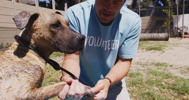Caucasian male volunteer washing dog in sunny dog shelter. Animals, support and temporary home, unaltered.