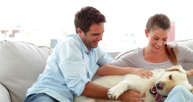 Cute couple calling their labrador dog to the couch at home in living room