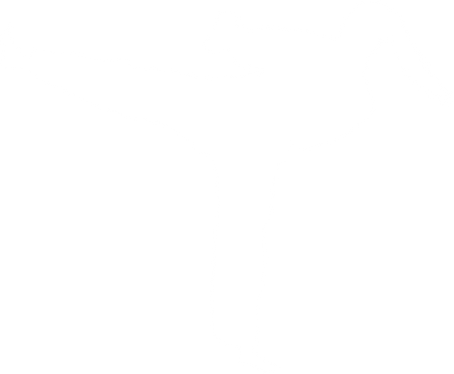 Karate Fighter Kicking Silhouette on Transparent Background - Download Free Stock Videos Pikwizard.com