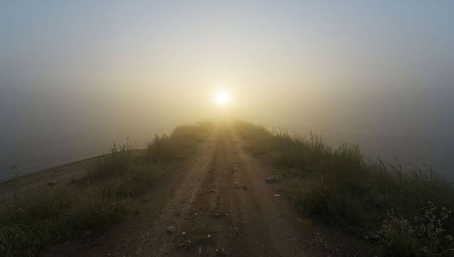 Sunrise mist on coastal dirt trail leading into foggy horizon with reeds and shoreline
