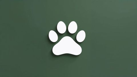 Minimalist white paw print on dark green background
