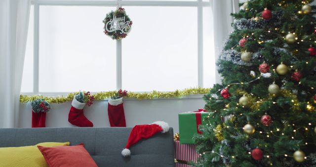 Image of christmas greetings, decorations, christmas tree, lights and christmas stockings at home - Download Free Stock Photos Pikwizard.com