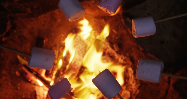 Roasting marshmallows over a campfire in the evening - Download Free Stock Images Pikwizard.com