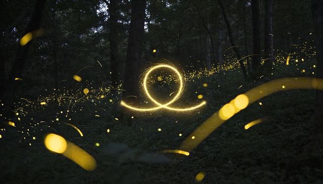 Golden light loop hovering over forest floor at dusk with floating firefly trails