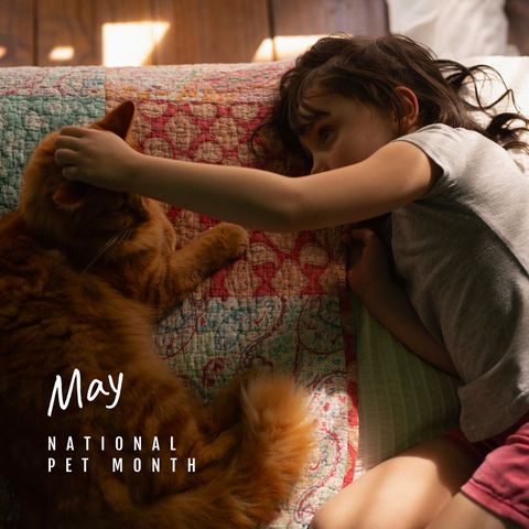 Young girl and tabby cat bonding during national pet month