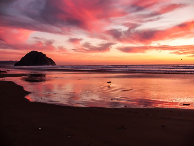Sea beach sunset twilight - Download Free Stock Photos Pikwizard.com