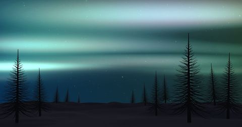 Northern Lights Over Silhouetted Fir Trees at Night - Download Free Stock Images Pikwizard.com