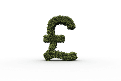 Nature-Inspired Pound Sterling Symbol on Transparent Background - Download Free Stock Videos Pikwizard.com