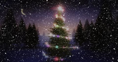 Magical Christmas Tree Illuminated with Falling Snow - Download Free Stock Images Pikwizard.com
