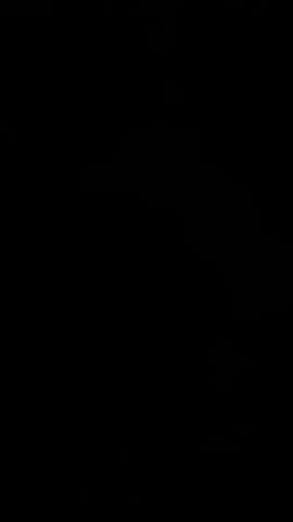 Vertical motion loop: Pastel shapes overlapping and fading into black at two-second mark