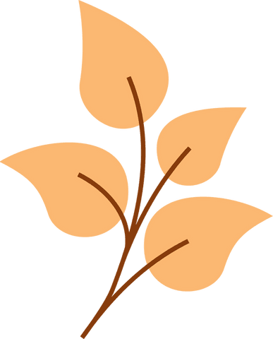 Minimalistic botanical illustration on transparent background