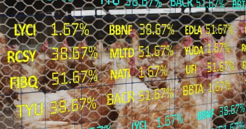 Chickens overlaid with virtual financial data trends