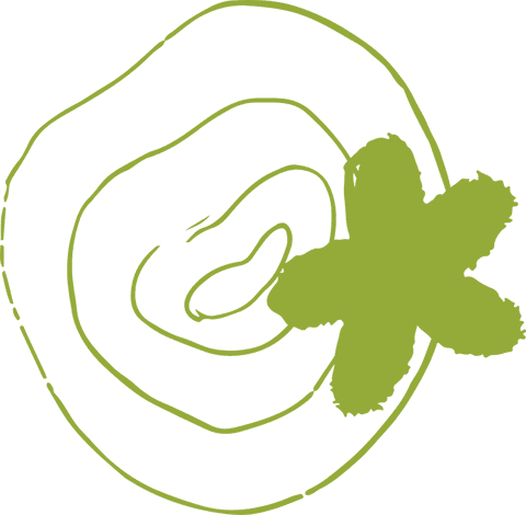 Abstract green vector with rings and star on transparent background