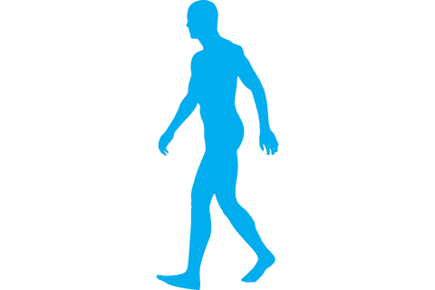 transparent blue silhouette of man walking forward - Download Free Stock Videos Pikwizard.com