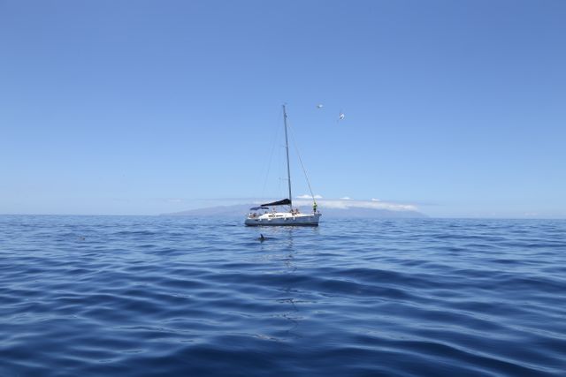 Peaceful image of a sailboat floating on calm ocean waters under a clear blue sky on a tranquil day. Perfect for use in travel and tourism brochures, relaxation and meditation posters, leisure and lifestyle blogs, and adventure marketing campaigns.