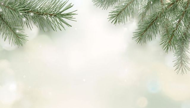 Evergreen Pine Branch Border with Soft Bokeh Winter Background for Holiday Design and Greeting Cards