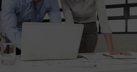 Professional colleagues analyzing data on office laptop