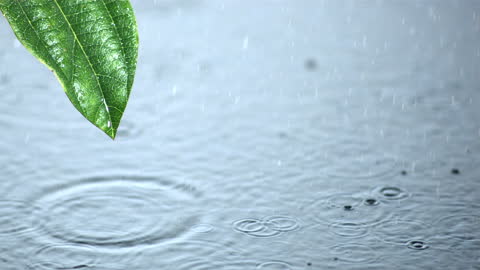 Close-Up of Raindrops Splashing in Water with Leaf