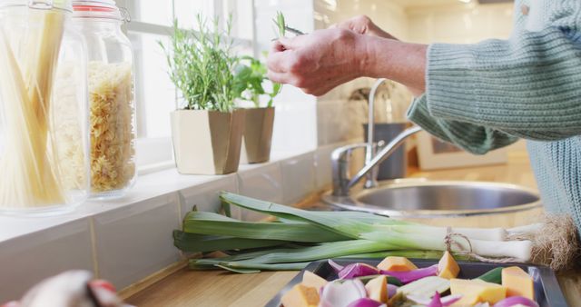 Preparing Fresh Vegetables in Modern Kitchen with Natural Light - Download Free Stock Images Pikwizard.com