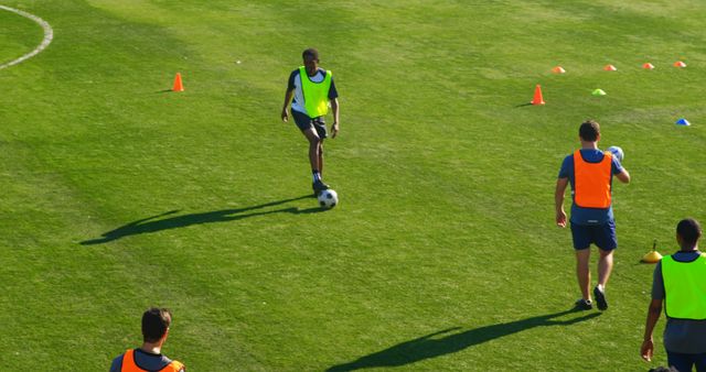 Soccer Players Training on a Grass Field with Cones - Download Free Stock Images Pikwizard.com