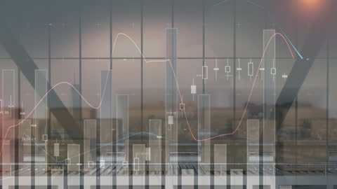 Dynamic Warehouse Operation with Graph Animation