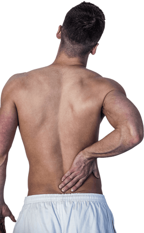 Transparent View of Man with Lower Back Pain