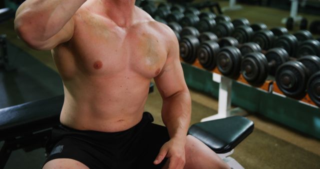 Bodybuilder resting on gym bench drinking water. He is perspiring and his muscles are clearly defined, indicating a finished workout or a break during training. In background there are numerous dumbbells on rack, highlighting gym setting. Useful for highlighting healthy lifestyles, fitness culture, bodybuilding, hydration, muscle-building, weightlifting activities. Ideal for fitness magazines, gym advertisements, bodybuilding blogs, nutrition websites.