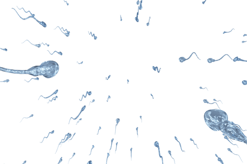 translucent sperm cells floating in black space - Download Free Stock Videos Pikwizard.com