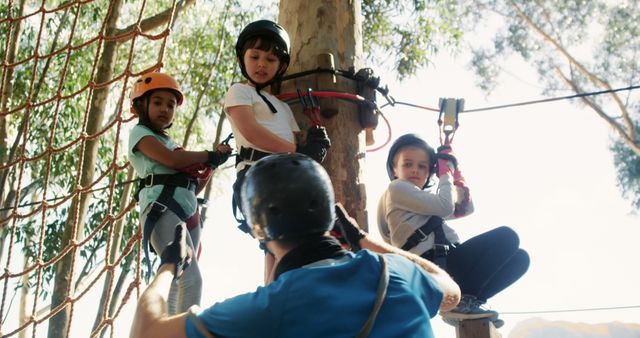 Children Engaging in Outdoor Adventure High Rope Course - Download Free Stock Images Pikwizard.com