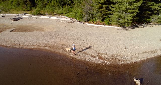 Aerial View of Woman Walking Dog on Quiet Beach Shoreline - Download Free Stock Images Pikwizard.com